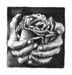 Charcoal 5